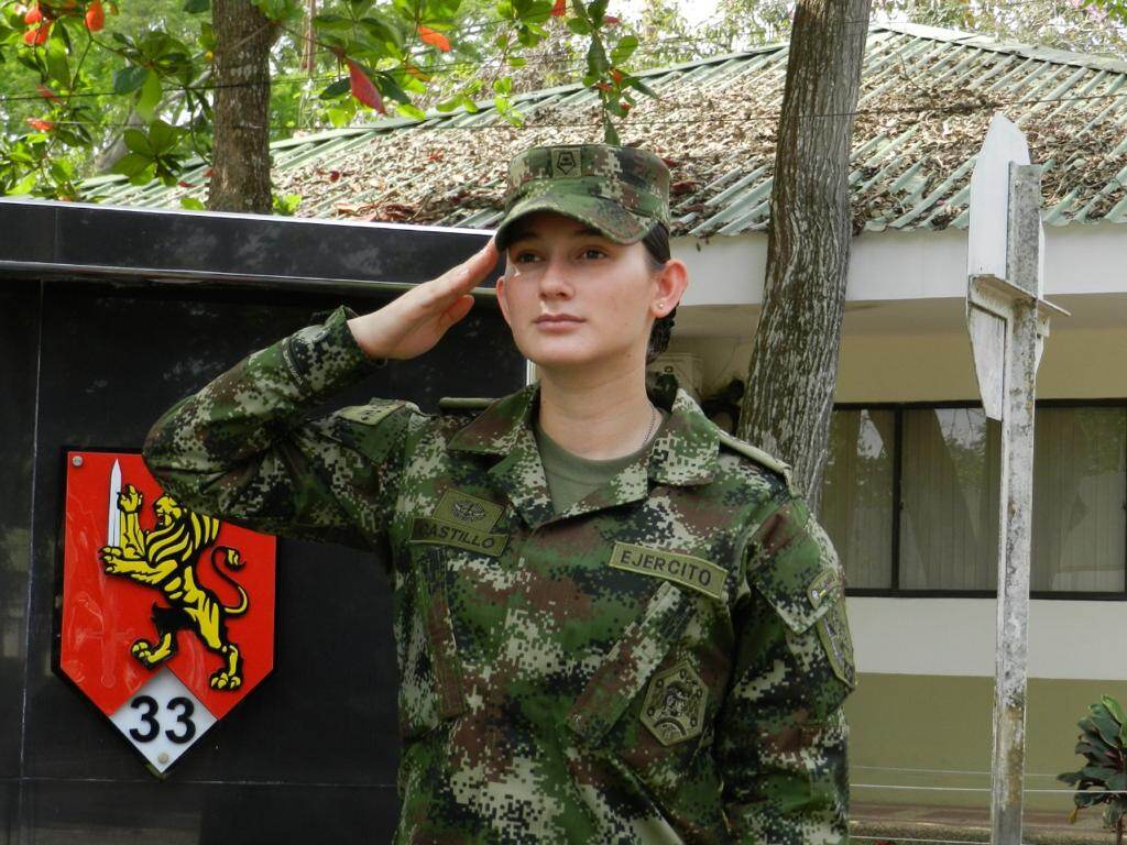 Imagen de referencia