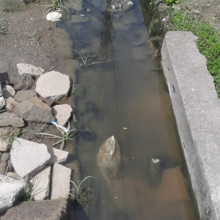 🚨 ¡MÁS DE 3 MESES NADANDO ENTRE AGUAS PODRIDAS EN LA GRANJA! 🚨LA EMPRESA NO RESPONDE Y LA COMUNIDAD ESTÁ DESESPERADA